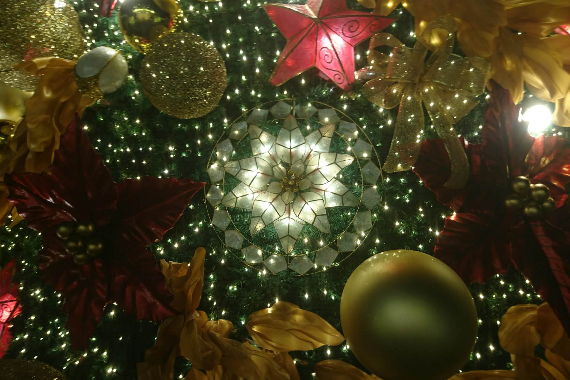 Close-up of a decorated christmas tree with lights